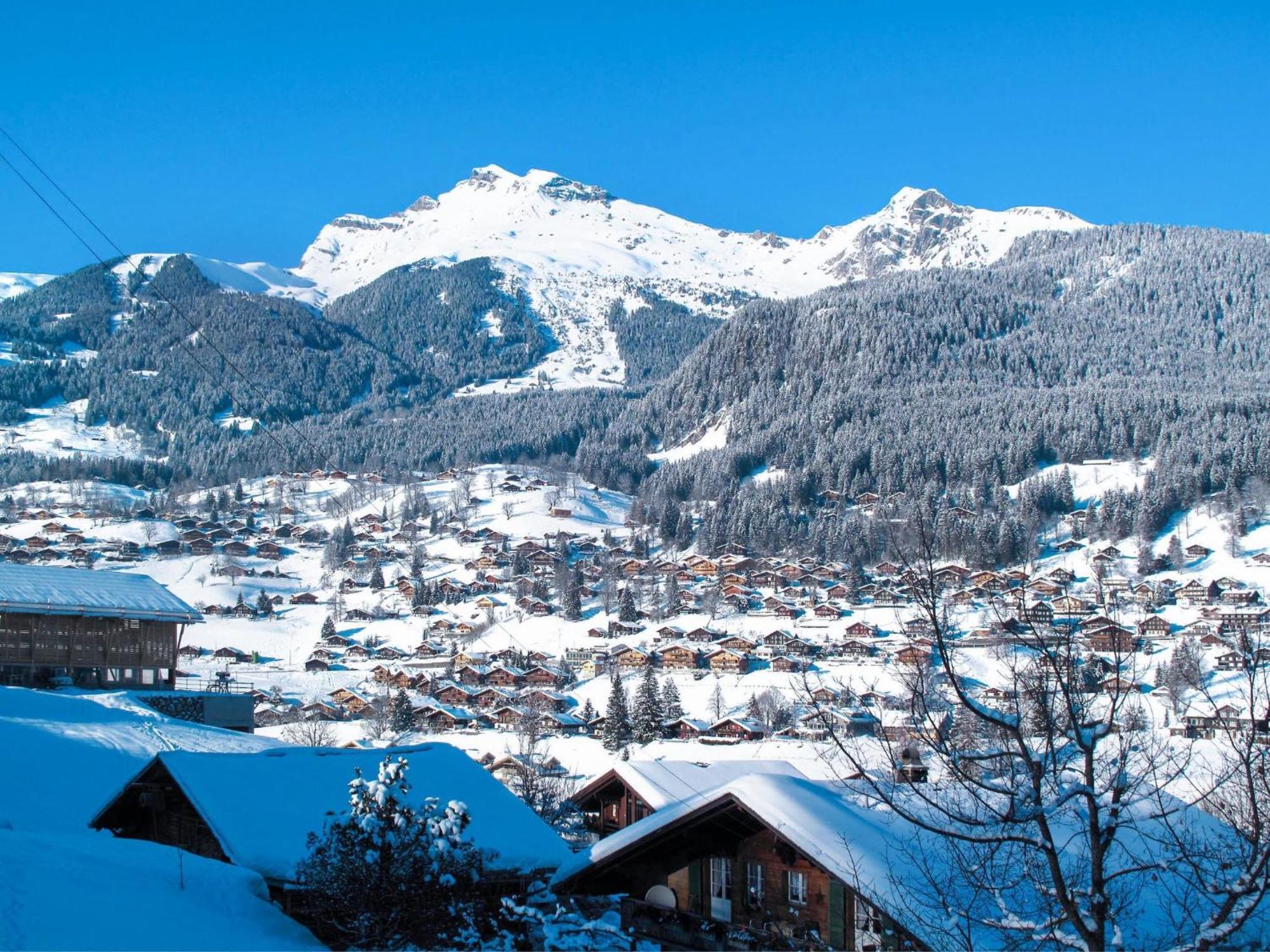 Apartment Chalet Almisraeba By Interhome Grindelwald Zewnętrze zdjęcie